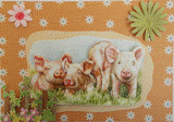 Carte postale 3D de 3 petits cochons et leur maman.