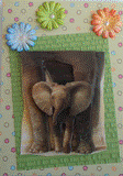 VENDUE - Carte postale 3D d'un bébé éléphant sur fond vert à pois